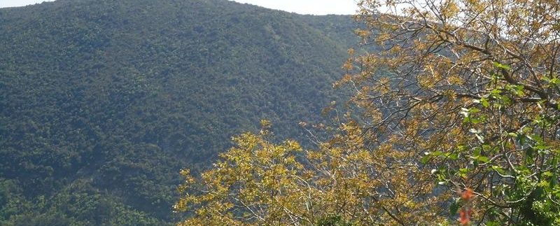 Land Prijevor Herceg Novi-Top Estate Montenegro