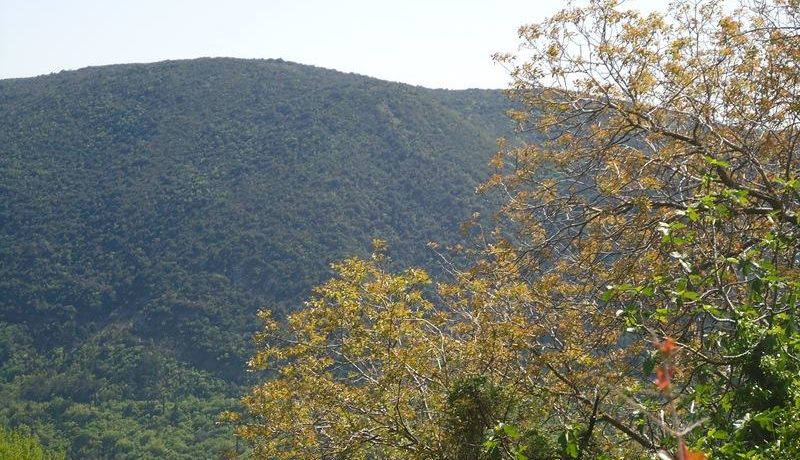 Land Prijevor Herceg Novi-Top Estate Montenegro