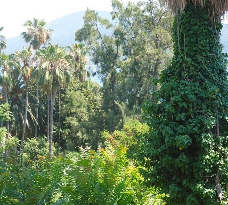 Property garden old town center Herceg Novi-Top Estate Montenegro