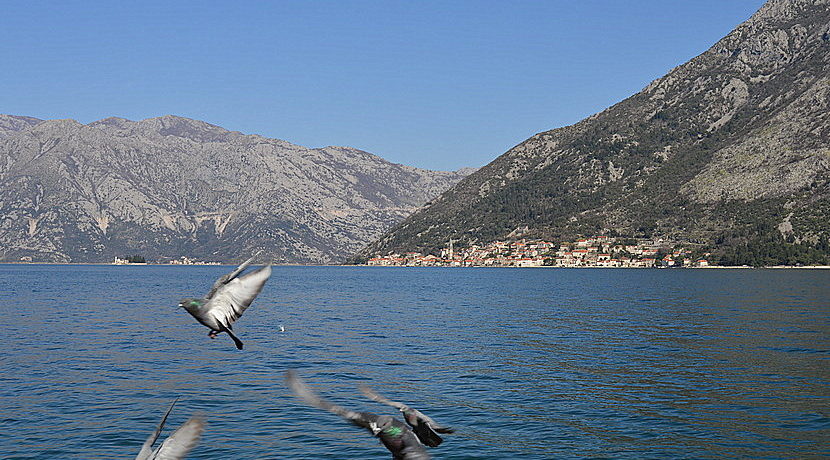 Nekretnine Stoliv Kotor-Top Estate Montenegro