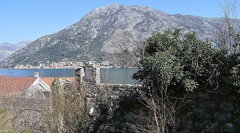 Real estate Stoliv Kotor-Top Estate Montenegro