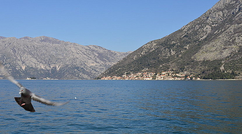 Ruin sea view Stoliv Kotor-Top Estate Montenegro