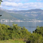 Zemljište Krašići, Tivat-Top Nekretnine Crna Gora