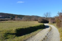 Poljoprivredno zemljište Trestenik, Kotor-Top Nekretnine Crna Gora