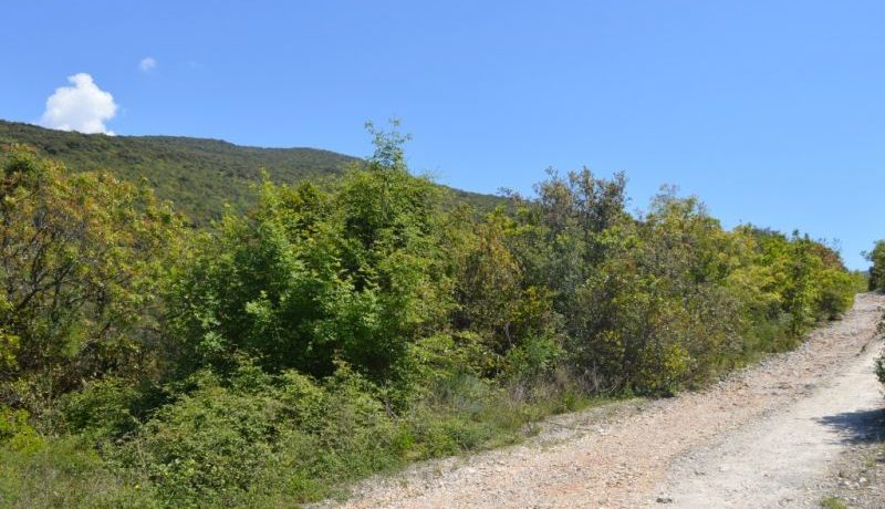 Plac zemljište Bigova, Kotor-Top Nekretnine Crna Gora