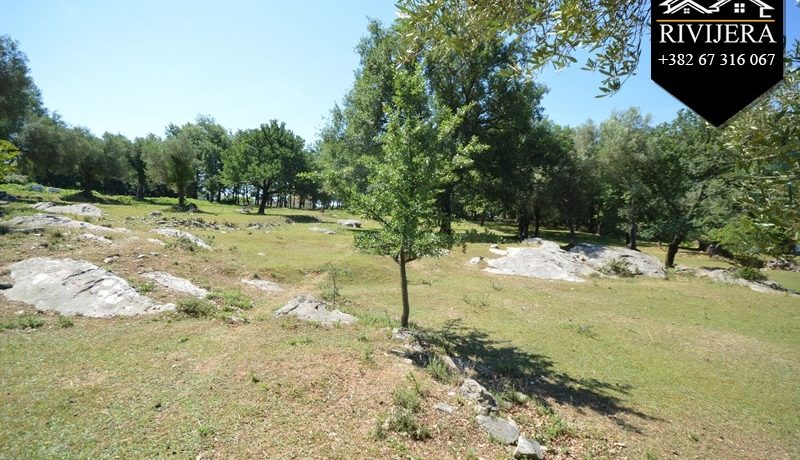 Grundstück Podi, Herceg Novi-Top Immobilien Montenegro