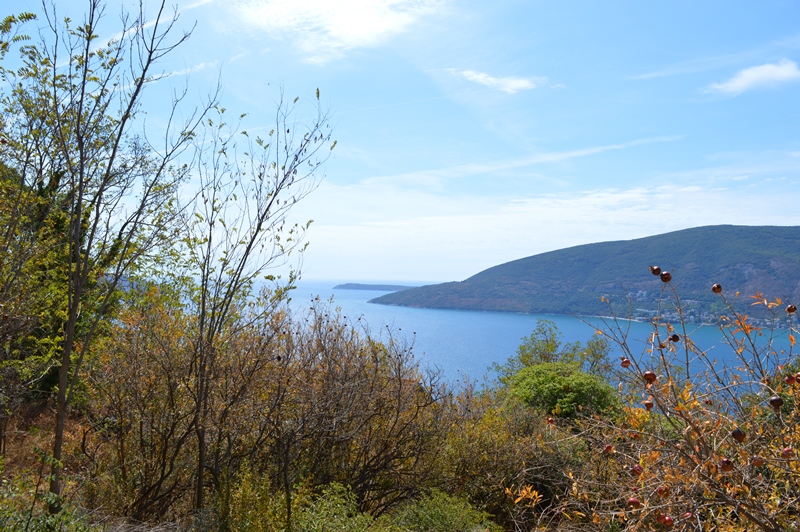 Ruševina nedaleko od Centra, Herceg Novi