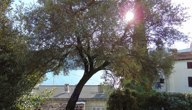 Sunny two bedrooms apartment Center, Herceg Novi-Top Estate Montenegro