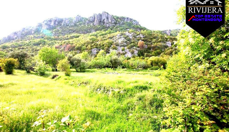 Land Podi, Herceg Novi-Top Immobilien Montenegro