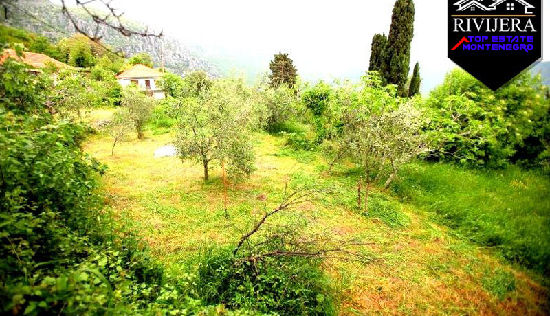 Posjed Podi, Herceg Novi-Top Nekretnine Crna Gora