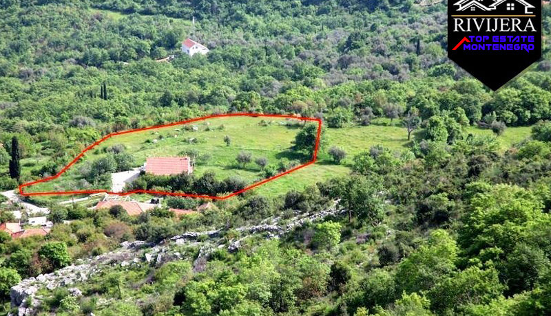 Zemlja Podi, Herceg Novi-Top Nekretnine Crna Gora