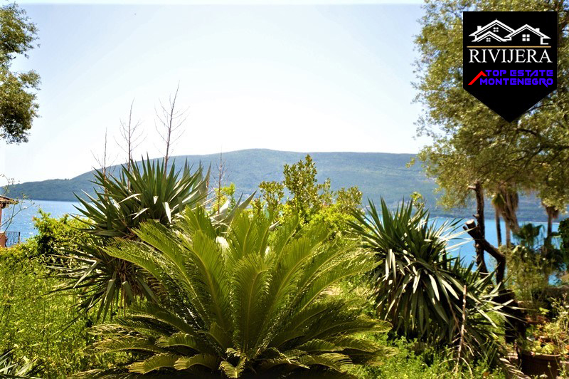 Studio zweite Linie von der Seepromenade Herceg Novi