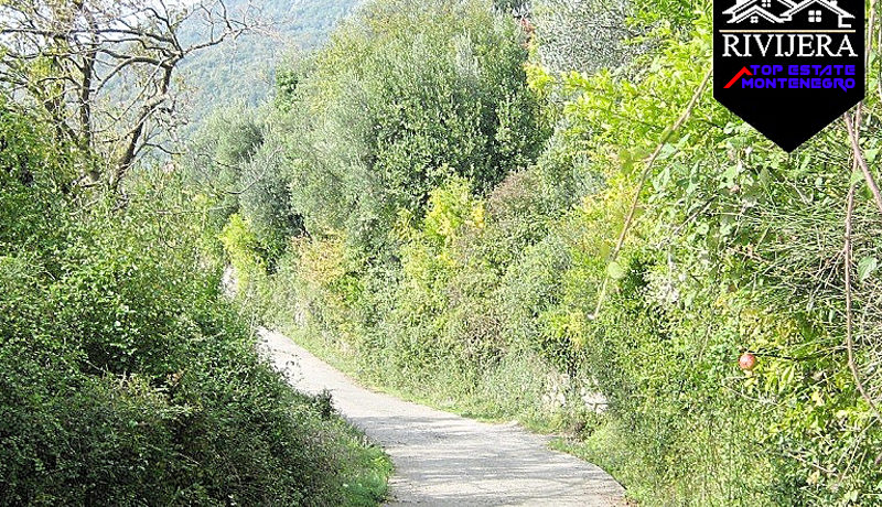 Big plot Zelenika, Herceg Novi-Top Estate Montenegro