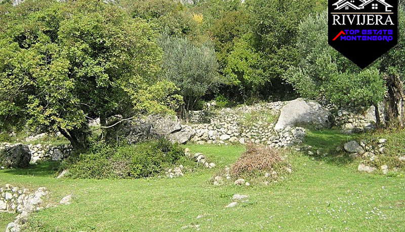 Great property Zelenika, Herceg Novi-Top Estate Montenegro