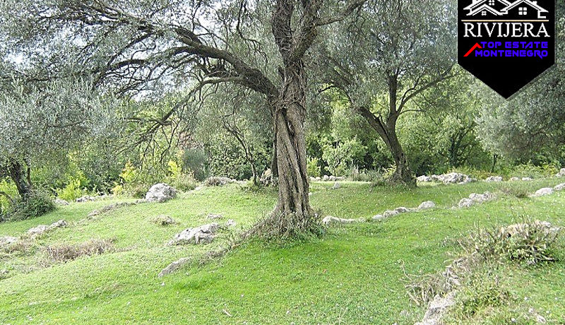 Grosses Anwesen Zelenika, Herceg Novi-Top Immobilien Montenegro