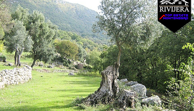 Veliko zemljište Zelenika, Herceg Novi-Top Nekretnine Crna Gora