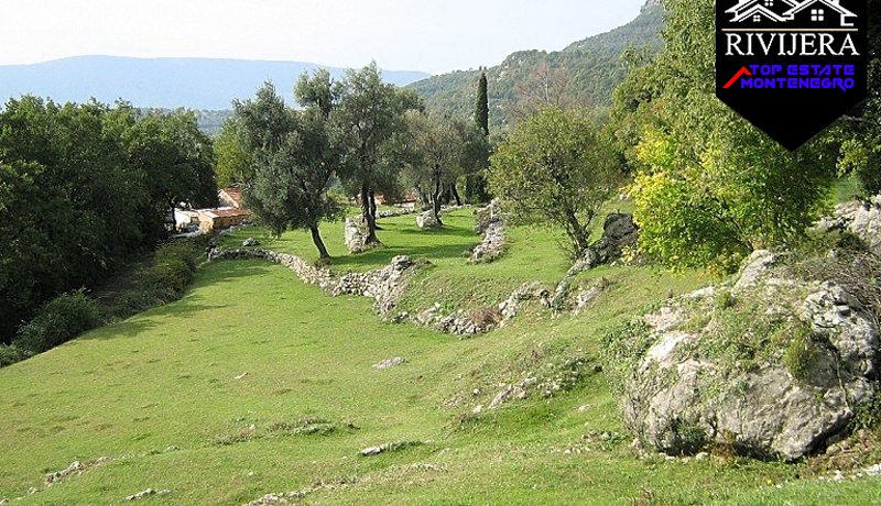 Zemlja Zelenika, Herceg Novi-Top Nekretnine Crna Gora
