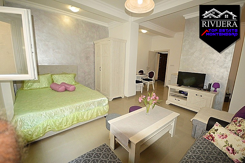 Nice furnished studio apartment Topla, Herceg Novi