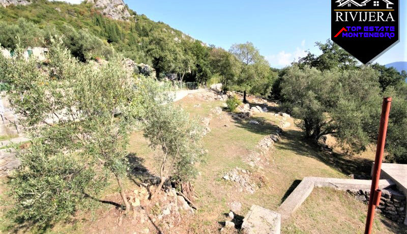 großes_grundstück_mit_haus_trebesin_herceg_novi_top_immobilien_montenegro.jpg
