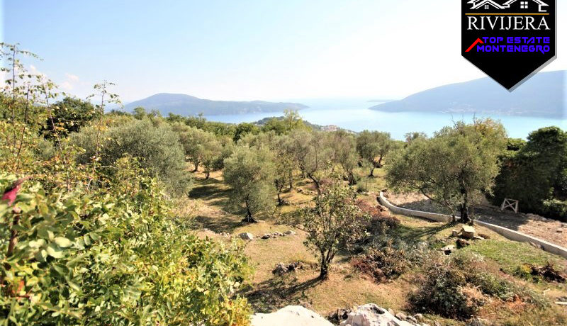 Large ground with house Trebesin, Herceg Novi-Top Estate Montenegro