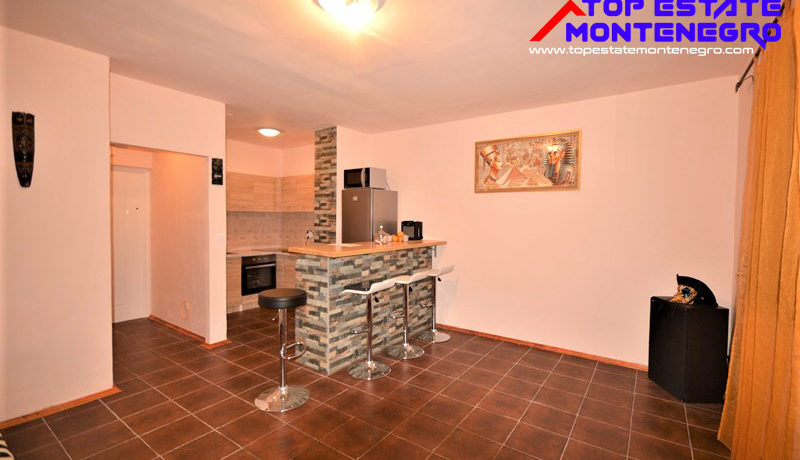 renovated_small_apartment_topla_herceg_novi_top_estate_montenegro.jpg