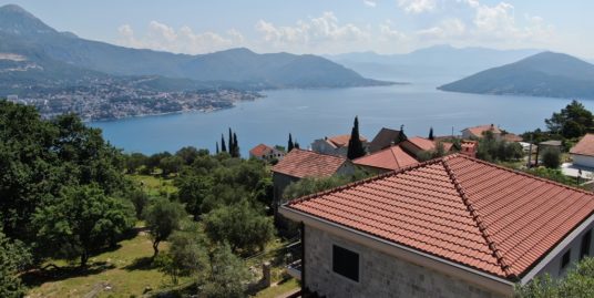 Beautiful stone house with pool near Igalo